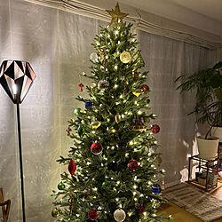クリスマス/間接照明/クリスマスツリーのインテリア実例 - 2023-11-11 18:32:04