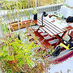 部屋全体/DＩＹ/before→after/バルコニー/家庭菜園...などのインテリア実例 - 2016-11-06 09:25:05