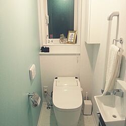 バス/トイレ/壁一面だけ色変えてみました/3COINS/IKEAのインテリア実例 - 2014-09-24 20:08:35