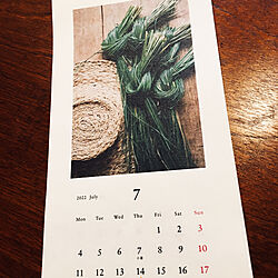 草の緑が初々しい/美しいカレンダー/JULY/月の積重ね/一年は早い...などのインテリア実例 - 2022-07-03 08:08:36