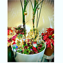 テーブルヤシの鉢植え/クリスマス/観葉植物のある暮らし/緑と花と暮らす/見て頂きありがとうございます⑅︎◡̈︎*...などのインテリア実例 - 2020-12-16 07:46:28