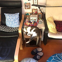 IKEA猫柄クッション/紙粘土工作/ダイソー布のクッションカバー/IKEAの椅子と机/寝るのん...などのインテリア実例 - 2021-10-09 14:57:49