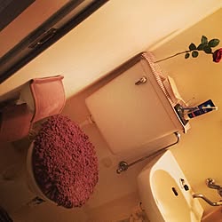 バス/トイレのインテリア実例 - 2013-01-14 01:29:16