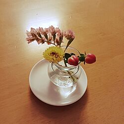 花のある暮らし/癒し/癒しの時間/リセット&リカバリーのインテリア実例 - 2024-05-14 14:05:44