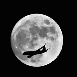 中秋の名月一日前/ANAの飛行機/飛行機と月/満月1日前/部屋全体のインテリア実例 - 2021-09-22 15:06:00