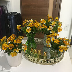 お花のある暮らし/花瓶/ゴールド/春の花/ビオラ...などのインテリア実例 - 2020-04-17 15:24:50
