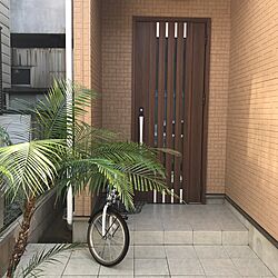 玄関/入り口のインテリア実例 - 2017-05-29 14:45:26