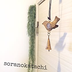 壁/天井/この扉を開くとシューズクローク/ベル/鳥モチーフ/いなざうるす屋さん...などのインテリア実例 - 2015-05-08 09:23:30