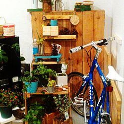 玄関/入り口/多肉植物/自転車/廃材/空き缶リメイクのインテリア実例 - 2016-02-02 19:52:41