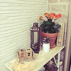 玄関/入り口/いいね！ありがとうございます♪/お花のある暮らし/ガーデニングのインテリア実例 - 2015-04-22 20:23:04