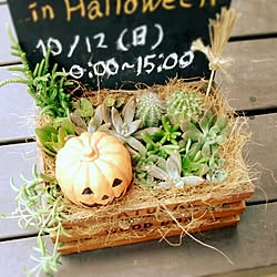 玄関/入り口/gardening/手作り/HALLOWEEN/ガーデニング多肉植物...などのインテリア実例 - 2014-10-09 07:24:15