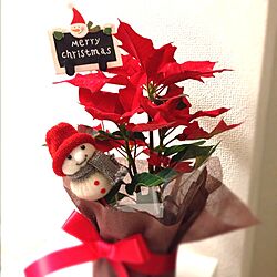 リビング/雑貨/クリスマスのインテリア実例 - 2012-12-06 20:59:19