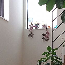 壁/天井/窓/鳥のインテリア実例 - 2016-07-24 22:05:29
