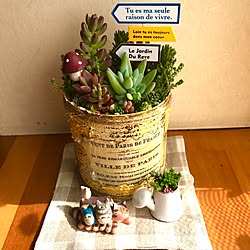 棚/多肉植物寄せ植え/ガーデンピック/リメ缶/みどりのある暮らし...などのインテリア実例 - 2017-04-17 08:48:15