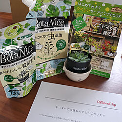 玄関/入り口/植物のある暮らし/観葉植物/多肉植物/虫対策...などのインテリア実例 - 2021-06-10 11:27:12