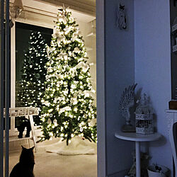 壁/天井/クリスマスツリー/猫と暮らす。/Xmas雑貨/いつもいいねやコメントありがとう♡...などのインテリア実例 - 2017-11-17 21:50:45