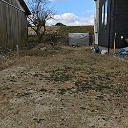 家庭菜園/畑/庭のインテリア実例 - 2018-05-17 21:23:07