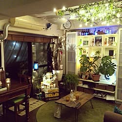 部屋全体/照明/NO GREEN NO LIFE/植物のある暮らし/観葉植物...などのインテリア実例 - 2016-10-02 22:17:15