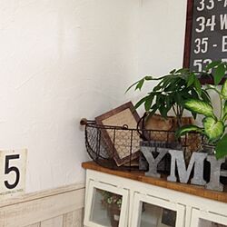 壁/天井/DIY/植物のインテリア実例 - 2014-06-13 15:59:56