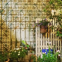 玄関/入り口/植物/garden/plantsのインテリア実例 - 2016-08-07 02:38:31