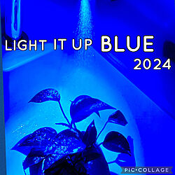 キッチン/2024.4.2./YOKOHAMA Blue/台所から青い光で/世界を青い光で染める...などのインテリア実例 - 2024-04-02 09:35:32
