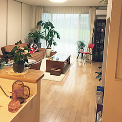 部屋全体/いつもありがとうございます♡/いいね&フォローありがとうございます♡/観葉植物のインテリア実例 - 2017-09-17 07:26:53