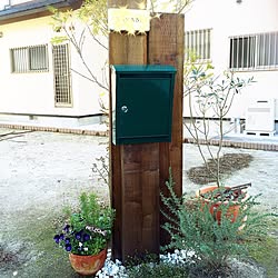 玄関/入り口/DIY/植物/手作りのインテリア実例 - 2014-12-16 14:36:55