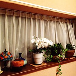 ベッド周り/ダウンライト/出窓/塗り壁/観葉植物...などのインテリア実例 - 2016-08-03 21:46:26
