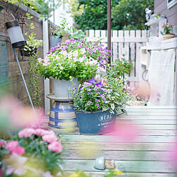 部屋全体/花のある暮らし/100均大好き/ダイソー鉛筆立て/ブルーの花...などのインテリア実例 - 2021-07-01 14:49:48