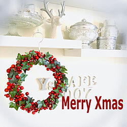 Merry Christmas/ありがとうございます♡/感謝です♡/ちいさなお家/グリーンのある暮らし...などのインテリア実例 - 2022-12-25 20:27:37