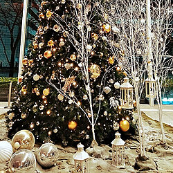12月25日/クリスマス/クリスマスツリー/東京都のインテリア実例 - 2021-12-25 22:04:19