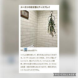 部屋全体/2人暮らし/掲載ありがとうございます♡/RoomClip mag 掲載のインテリア実例 - 2023-12-26 18:24:06