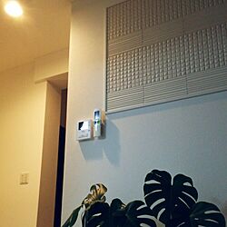壁/天井/シンプル/植物/ホワイト/エコカラットのインテリア実例 - 2016-03-14 21:16:16