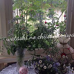 壁/天井/庭の花のインテリア実例 - 2017-05-12 18:32:39