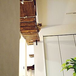 壁/天井/ねこのいる日常/ねこと暮らす。/DIY/猫...などのインテリア実例 - 2016-10-04 21:47:49