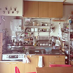 キッチン/マグネット/IKEA/団地のインテリア実例 - 2013-08-20 11:17:40