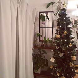 壁/天井/クリスマス/窓枠/IKEAのインテリア実例 - 2016-11-14 17:41:35