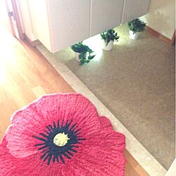 玄関/入り口/IKEA/100均/照明/植物のインテリア実例 - 2013-10-04 17:12:00
