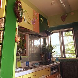 キッチン/DIY/ライムグリーン/小鳥の雑貨/クレマチス...などのインテリア実例 - 2016-08-16 14:37:40
