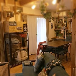 部屋全体/猫ちゃん/男前化計画/いつもいいねをありがとうございます♡/DIY...などのインテリア実例 - 2016-11-18 21:53:29