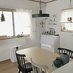 壁/天井/観葉植物/IKEA/カメラマークが出たので/海外インテリアに憧れる...などのインテリア実例 - 2017-04-07 10:44:34