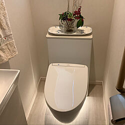 TOTO/TOTOトイレ/掃除しやすいトイレ/間接照明のあるトイレ/間接照明...などのインテリア実例 - 2021-02-23 10:48:29