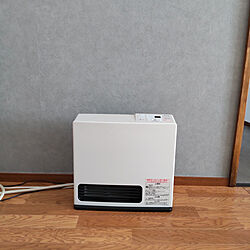わが家の暖房器具・ストーブのインテリア実例 - 2021-12-26 12:36:37