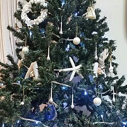 リビング/クリスマスツリー/貝/西海岸/貝の飾り...などのインテリア実例 - 2016-11-09 23:37:02