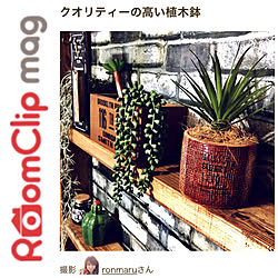 部屋全体/フェイクグリーン/植木鉢/嬉しいです♡/RoomClip mag...などのインテリア実例 - 2018-09-17 08:00:38