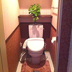 バス/トイレ/植物のインテリア実例 - 2013-06-07 11:04:39
