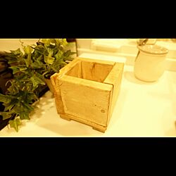 SPF材1×4/木の鉢カバー/端材 DIYのインテリア実例 - 2020-05-03 23:32:58