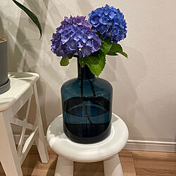 紫陽花/植物のある暮らし/花のある暮らし/IKEAのフラワーベース/リビングのインテリア実例 - 2023-05-30 11:06:22