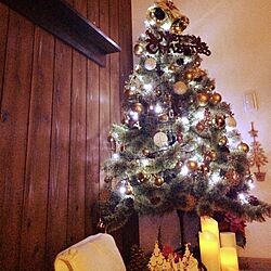 部屋全体/LEDキャンドル/クリスマスツリー/ダイソー/セリア...などのインテリア実例 - 2016-12-16 19:30:39