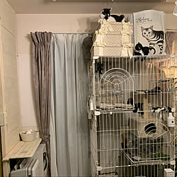 猫スペース/壁/天井のインテリア実例 - 2020-04-09 12:04:34